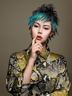 ��������ǿ����������Ʒ